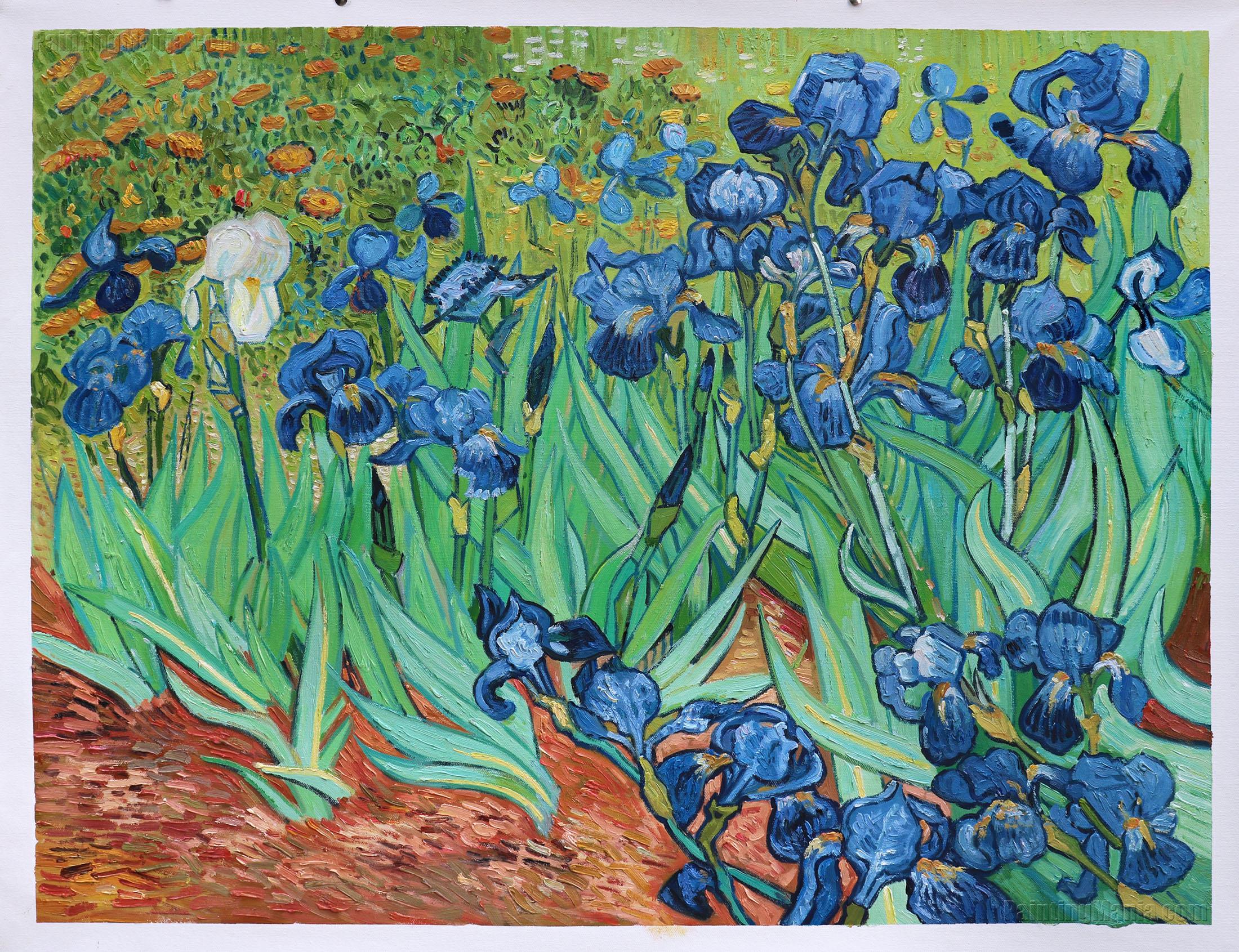 Vincent Van Gogh Paintings Irises