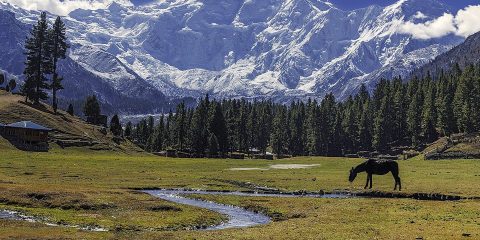 fairy meadows pakistan