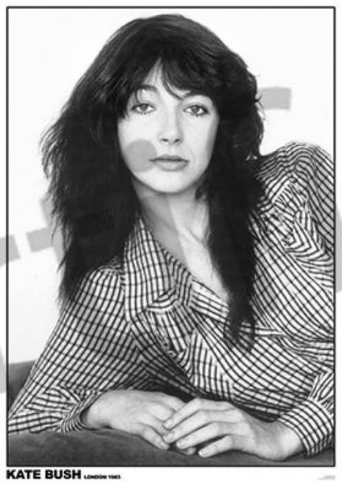 Kate Bush posters - Kate Bush 1983 poster ART305 – Panic Posters