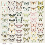 FDC Cut-Out Sheet 12"x12" - Butterflies