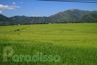 Phu Yen Son La