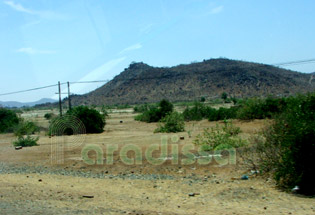 The desert of Ninh Thuan Vietnam