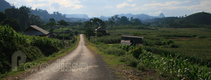 A cycling road at Moc Chau