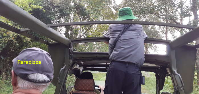 Birding at the Cat Tien National Park Vietnam