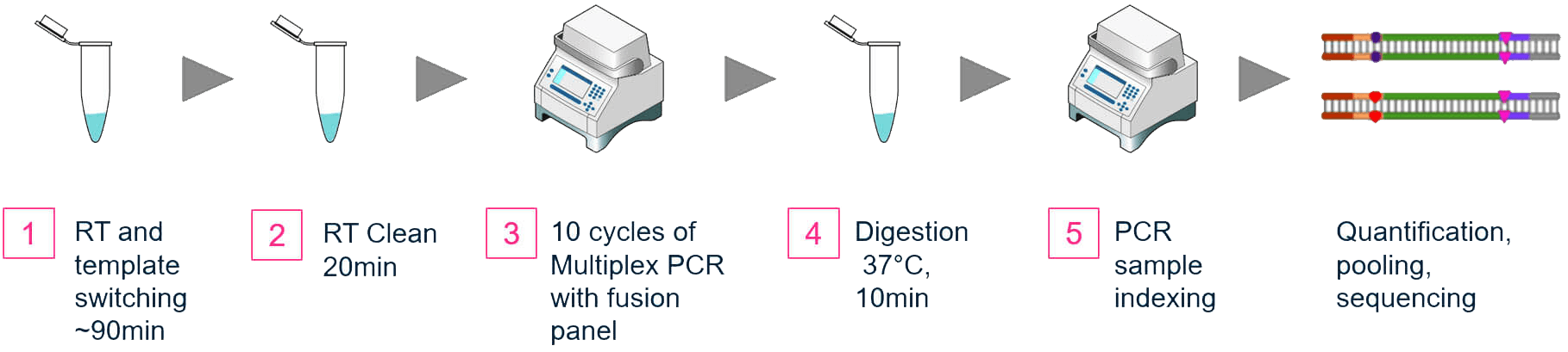 Gene Fusion: What is Gene Fusion + Fusion Detection [Updated]