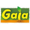 GAIA