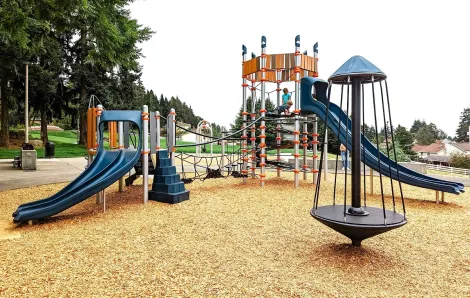 Kids play on the new play structure at just renovated Chestnut Ridge Park playground in Kent