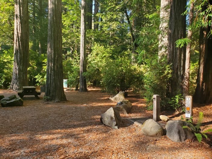 Jedediah Smith Campground - Jedediah Smith Redwoods State Park | Park ...