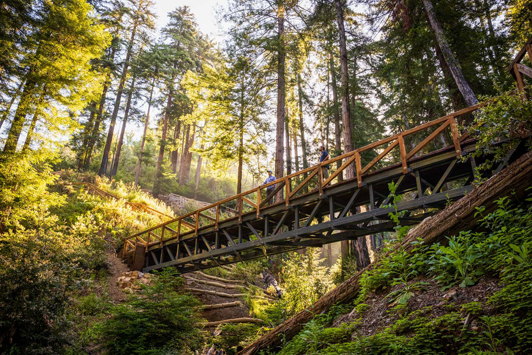 California State Parks and Save the Redwoods League to Reopen Fully ...