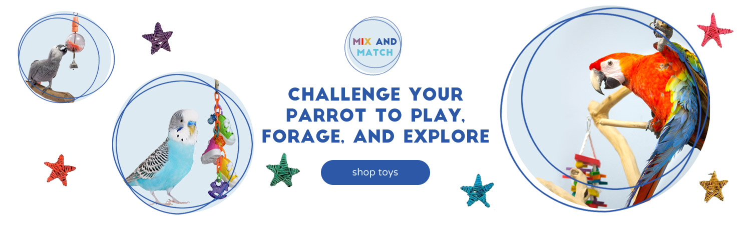 Parrot Toys