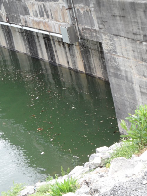 Close up of water against the dam