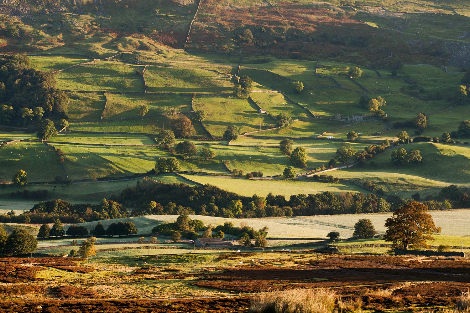 Patchwork Landscape Yorkshire Print Yorkshire Landscapes colour