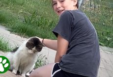 Mother watches 13-year-old earn homeless cat’s trust