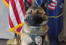 Retiring Police Dog Gets His Heartfelt Final Goodbye During a Radio Call