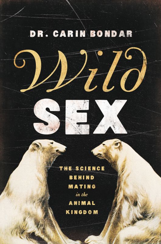 Wild Sex_F