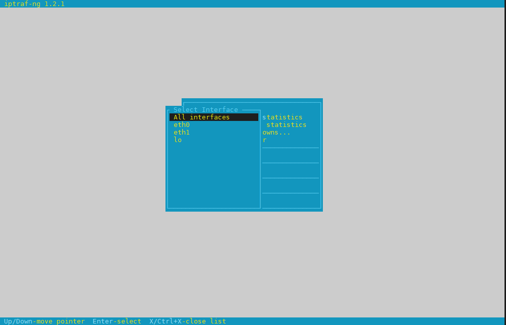 iptraf-ng-linux-select-interface-screen