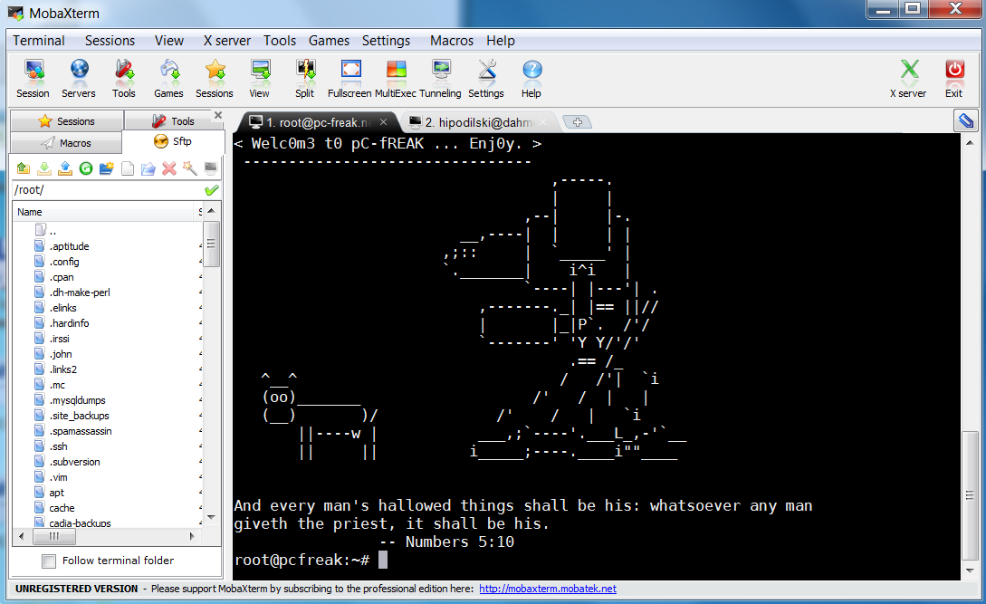 mobaxterm with tabbed ssh connections screenshot best putty windows ssh client alternative now