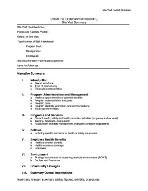 Site visit report template