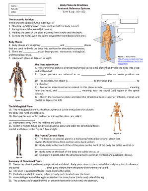 Body Planes & Directions Anatomic Reference ... - Cathy Ramos - Fill ...