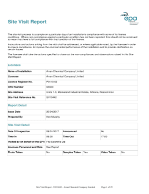 Google doc report template