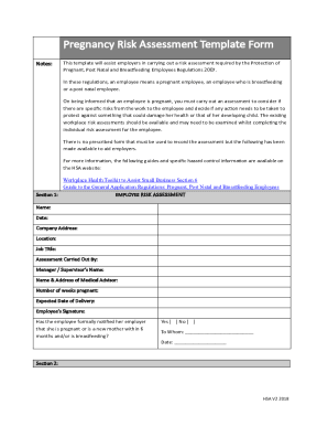 IE HSA Pregnancy Risk Assessment Template Form 2018-2023 - Fill and ...