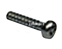 Body casing screw