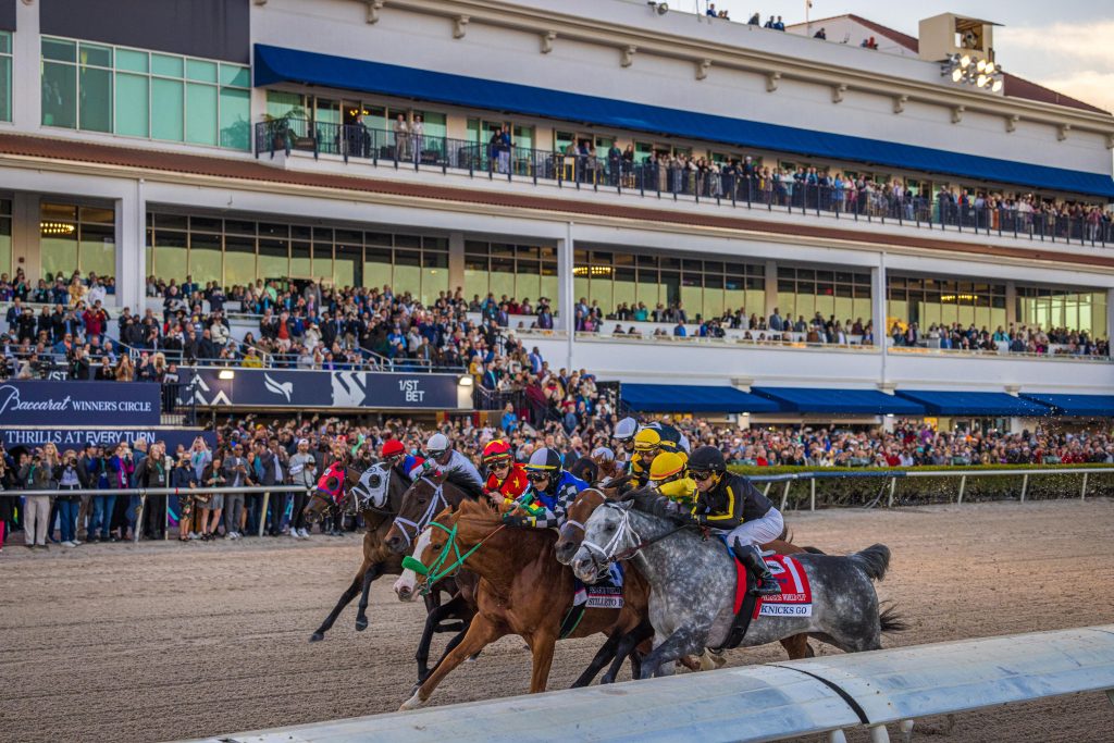 Pegasus World Cup 2024 Tickets Pegasus World Cup