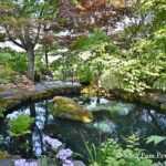 Camille Paulsen's Tahoma-flora garden