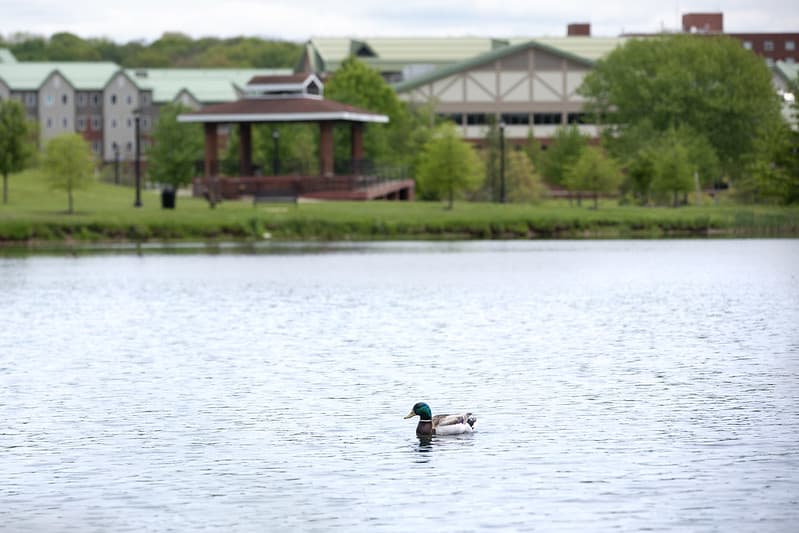 Lake at PennWest Edinboro. 