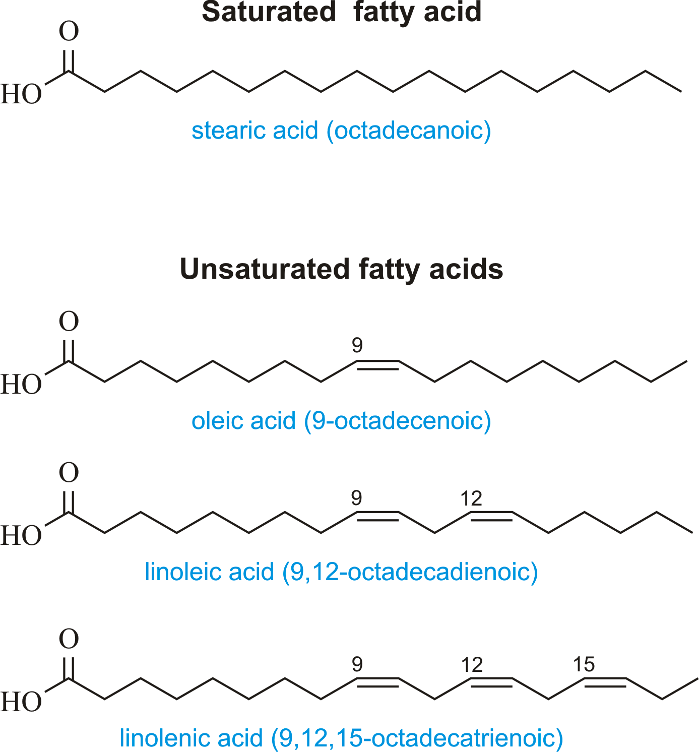 Saturated Fatty Acid