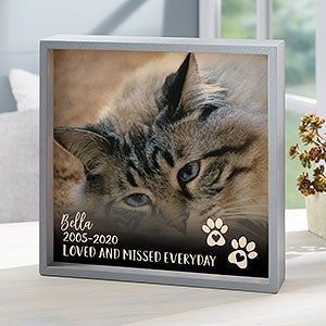 Pet Photo Memorial Personalized Grey LED Shadow Box- 10x10 - 21192-G-10x10