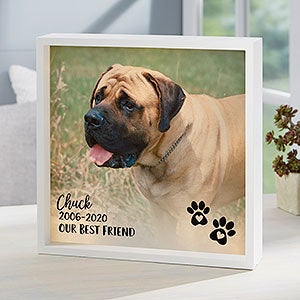 Pet Photo Memorial Personalized Ivory LED Shadow Box- 10x10 - 21192-I-10x10