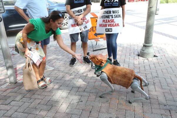 Charli greets passersby