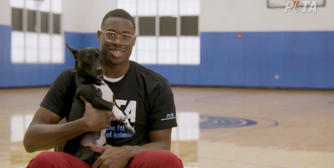 chicago bull jalen smith and adopted dog on a basketball court