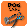 dog care