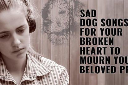 Sad Dog Songs