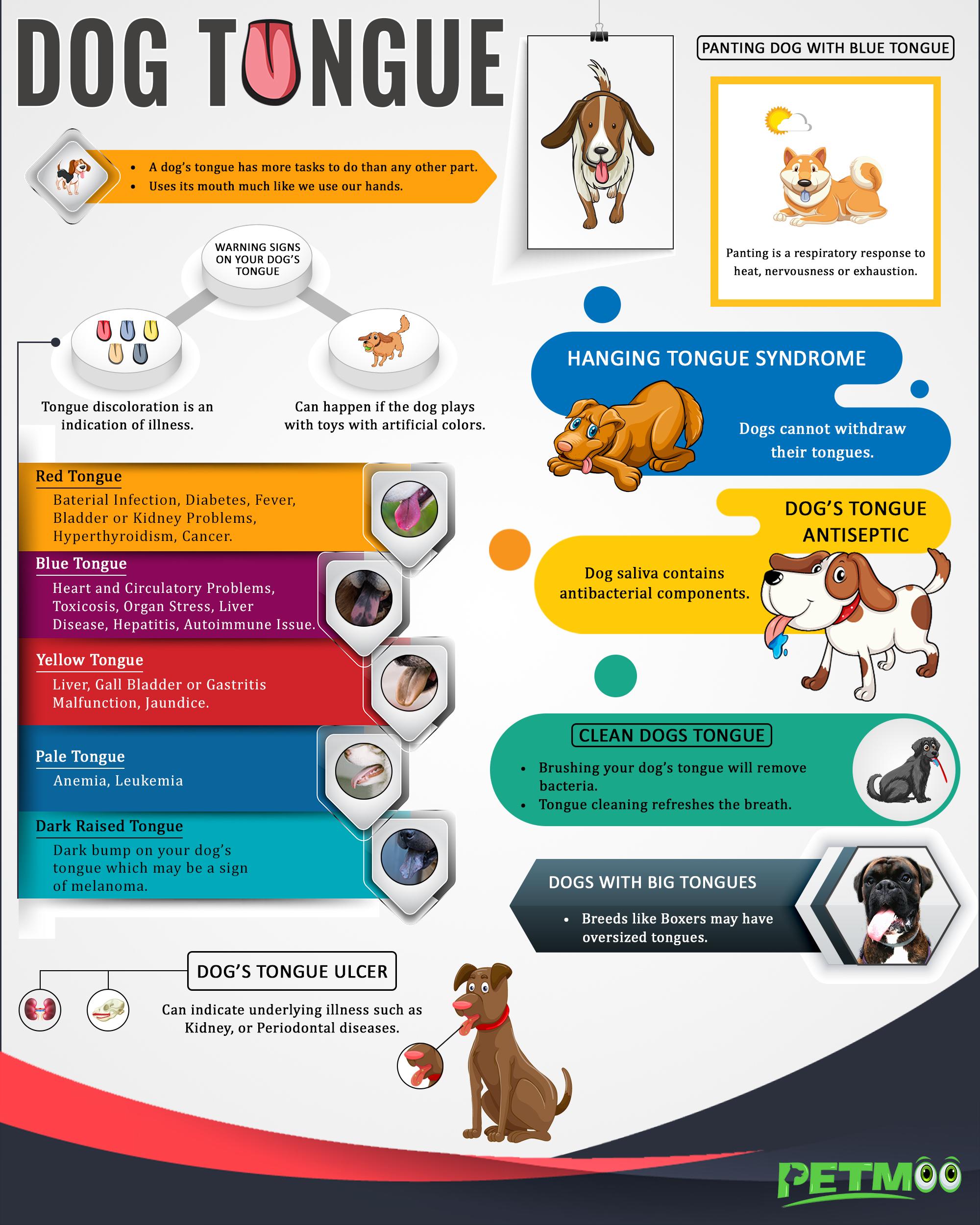 Dog Tongue Infographic