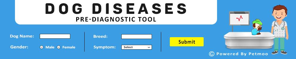 Dog Symptoms Checker