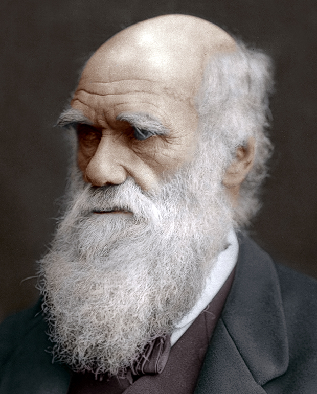 Charles Darwin Theory Of Evolution