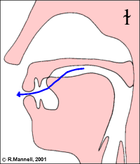 The rhotic approximants are rather an odd class, containing the labio ...