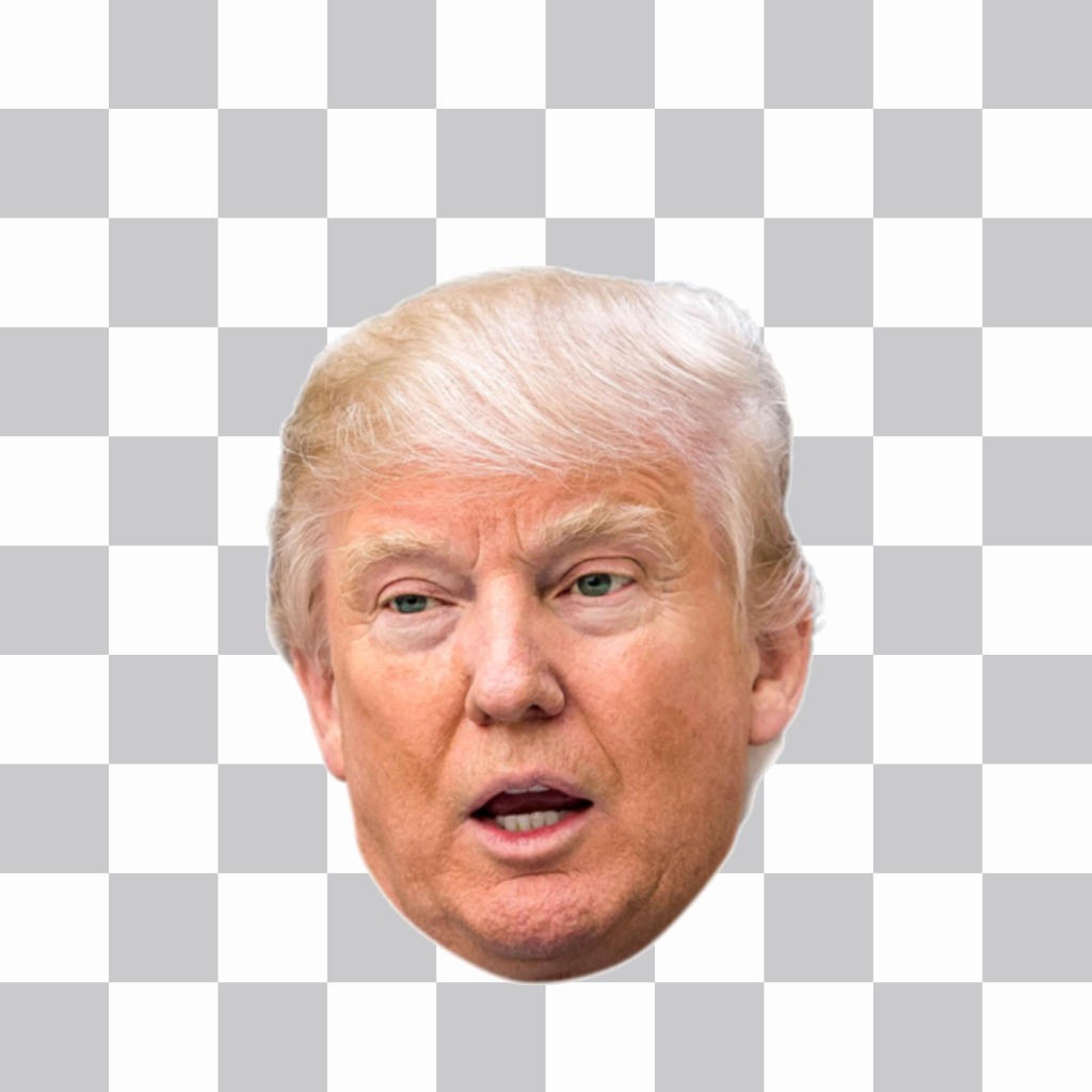 Swap your face with Donald Trump without downloading anything. 