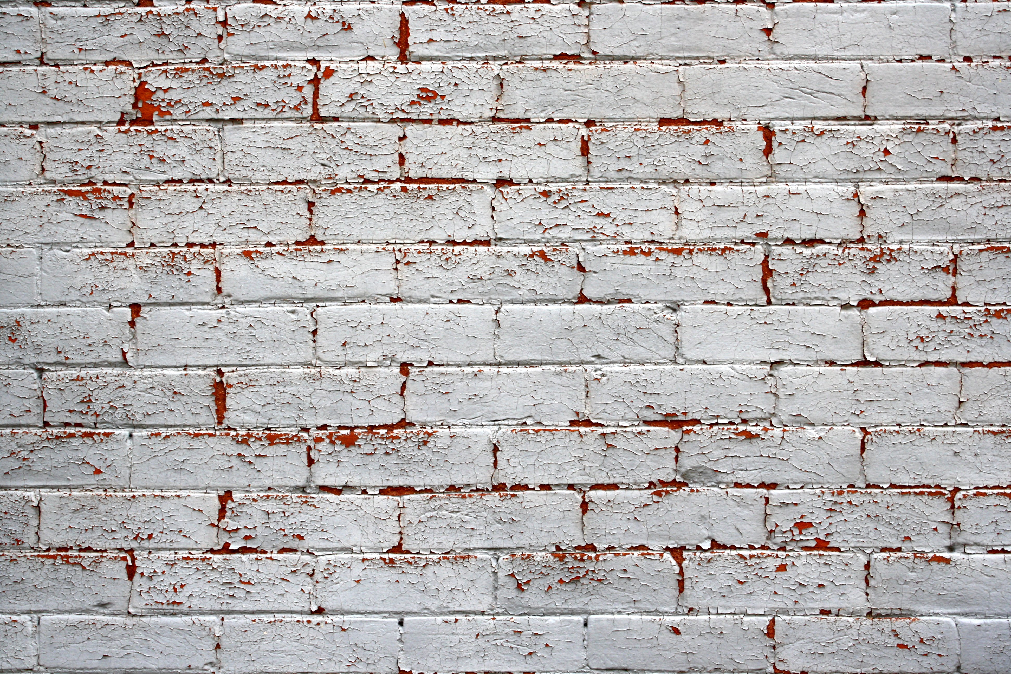 Whitewashed Brick Texture