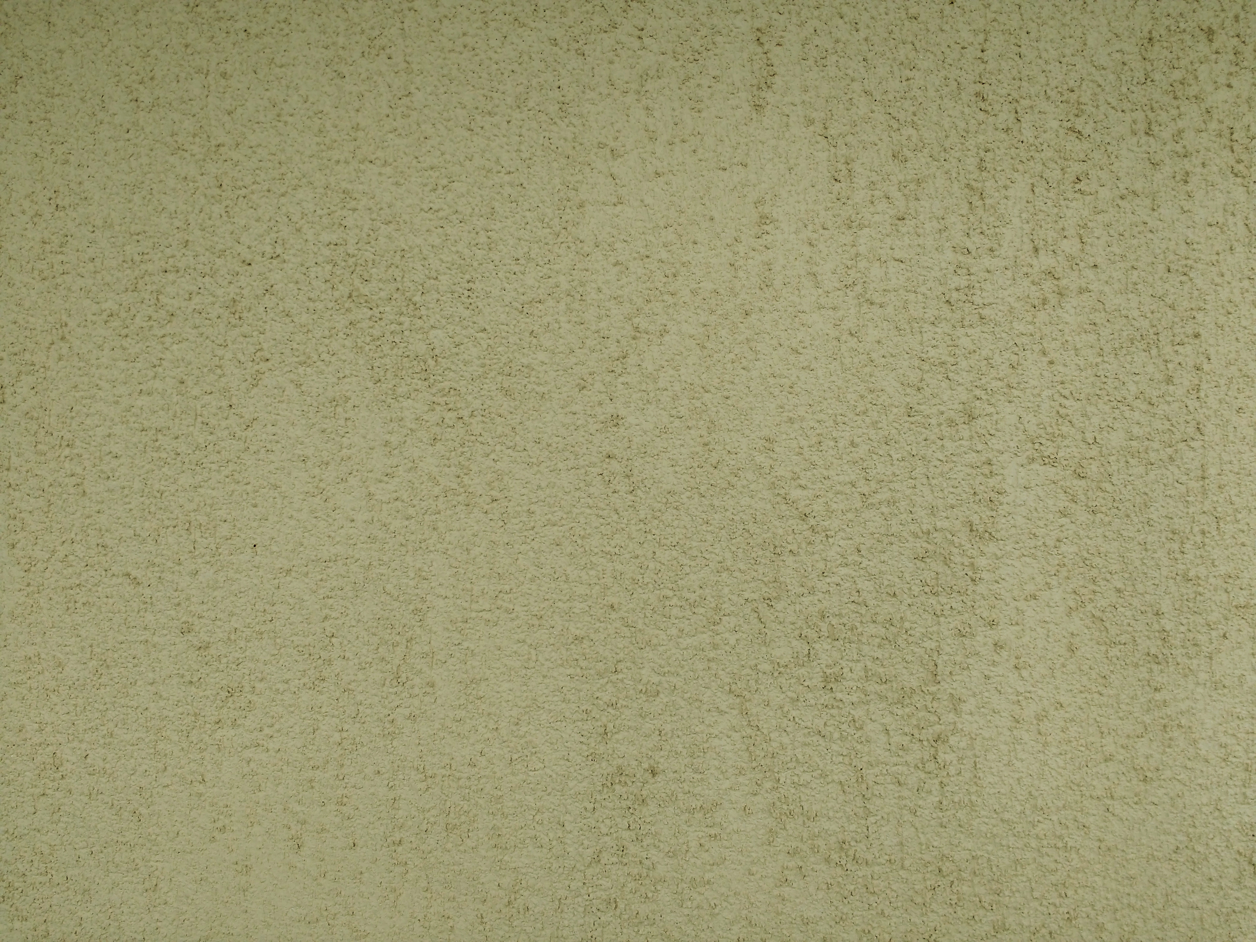 Olive Green Stucco Texture - Free High Resolution Photo