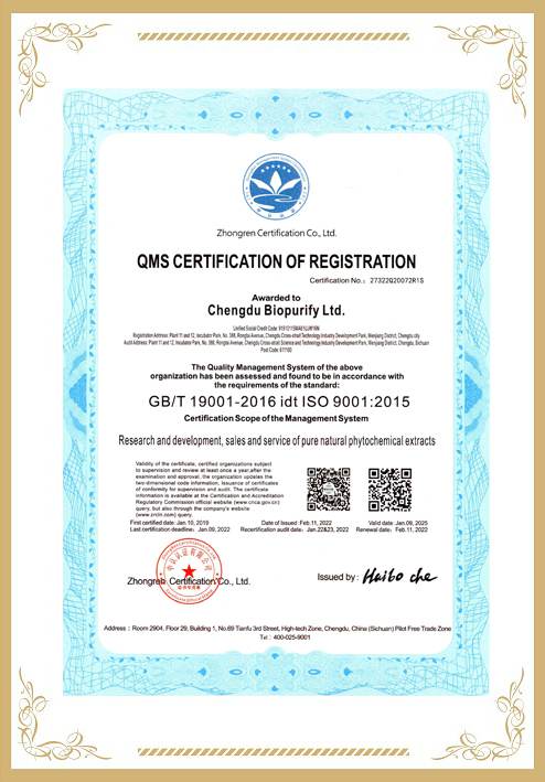 iso9001