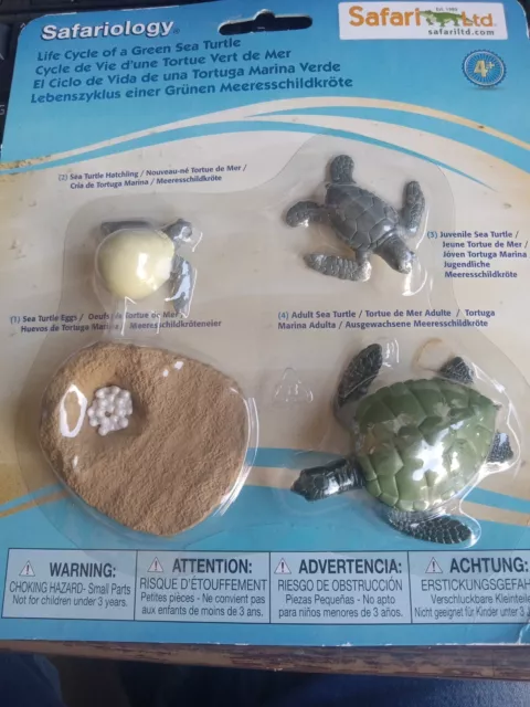 LIFE CYCLE OF A Green Sea Turtle Safari Ltd NEW Toys Educational ...