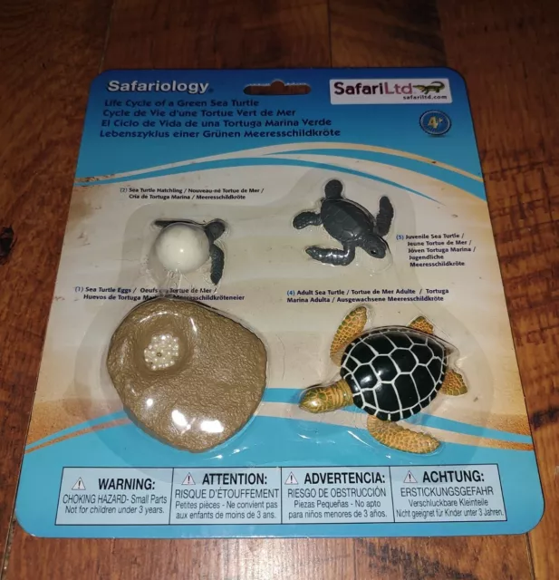 LIFE CYCLE OF A Green Sea Turtle Safari Ltd NEW Toys Educational ...