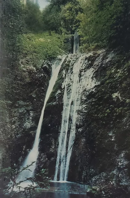 PFEIFFER FALLS BIG Sur State Park Big Sur CA Postcard $7.00 - PicClick