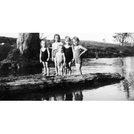 Banks of the Bremer River, Basin Pocket, 1933