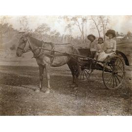 Family in horse and buggy, Booval, Ipswich, 1912