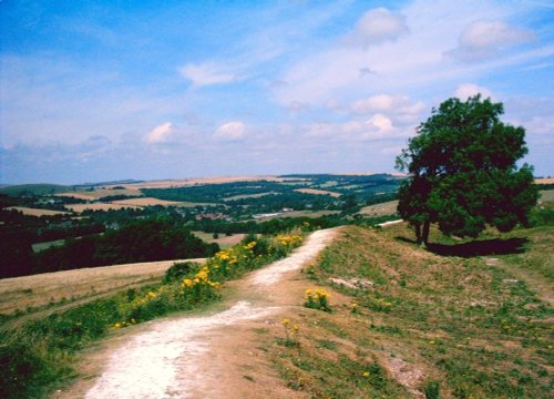 A picture of Cissbury Ring